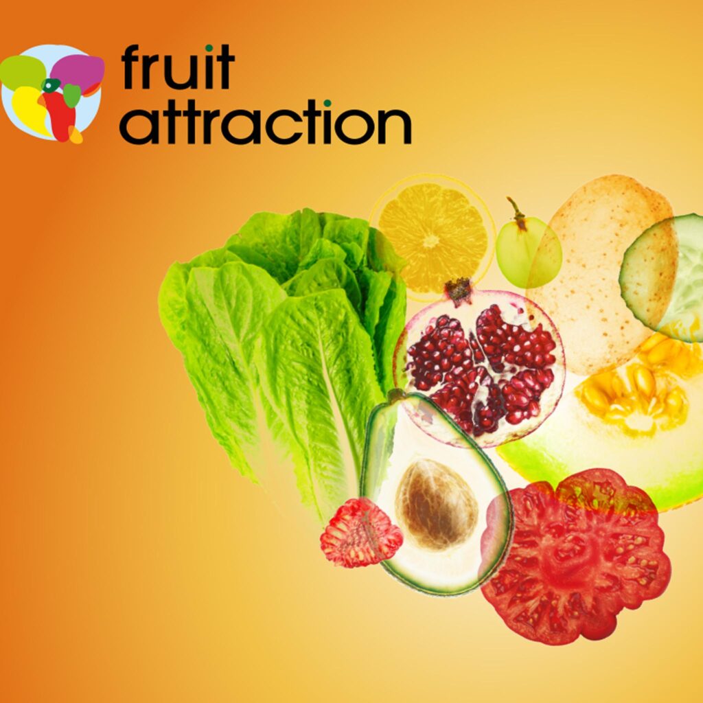 ATTRACTION DES FRUITS ATTRACTION DES FRUITS